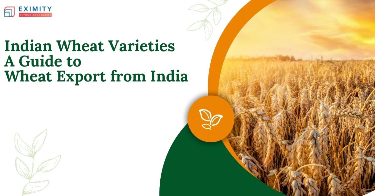 Top Indian Wheat Varieties: Wheat Export from India